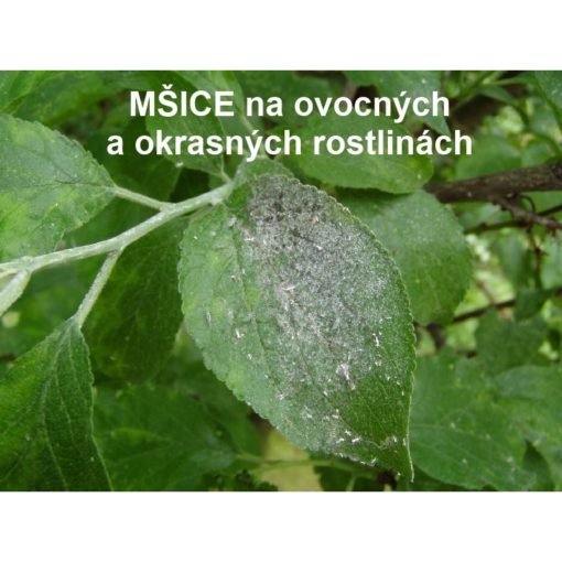 AGRO Mšice - Molice STOP sprej 0,3 g - Image 2