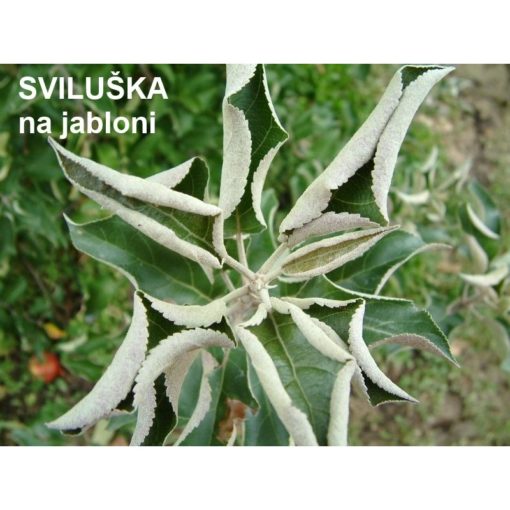 NATURA Rock Effect 5 L - Image 2