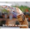 NATURA Rock Effect NEW 250 ml - Image 9
