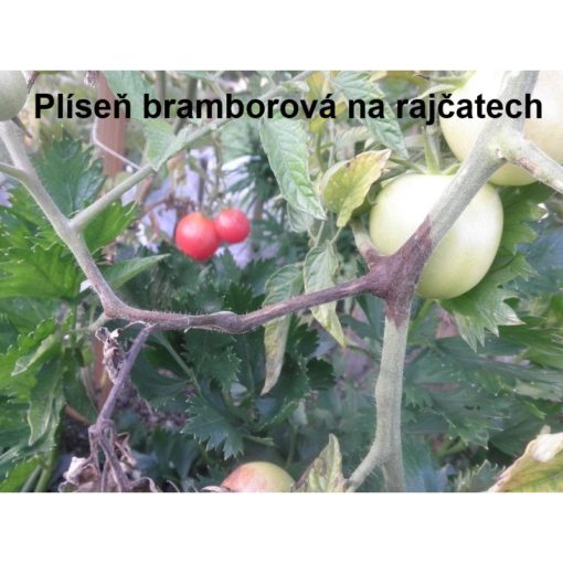 AGRO Ortiva 10 ml - Image 6