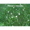 FLORIA Travin 8 kg - Image 2