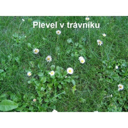 FLORIA Travin 8 kg - Image 2