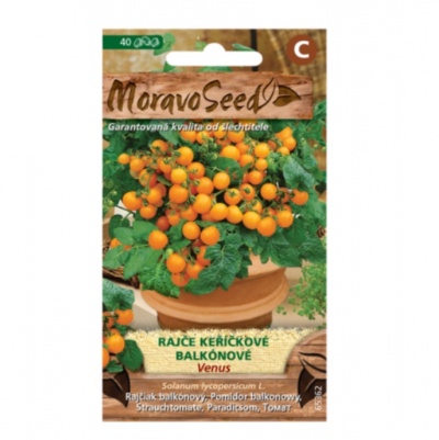Rajče keříčkové balkónové VENUS, oranžové 65362