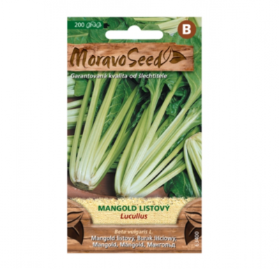 Mangold listový LUCULLUS, zelený 63400