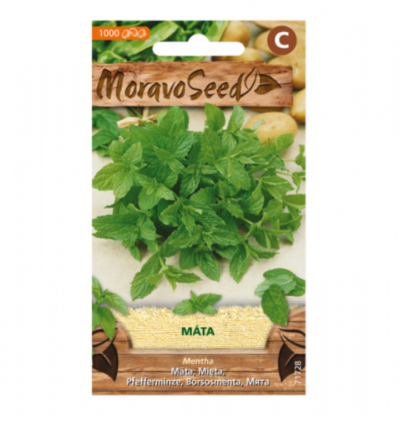 Máta peprná 71728