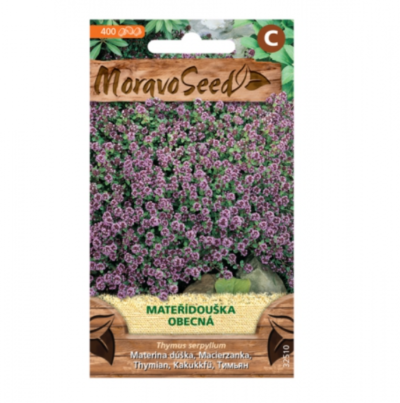 Mateřídouška obecná 32510