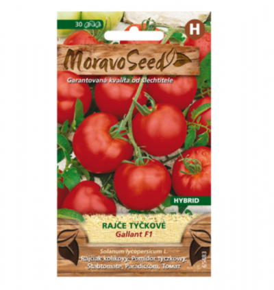 Rajče tyčkové GALLANT F1 65483