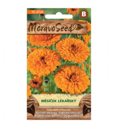 Měsíček lékařský 71730