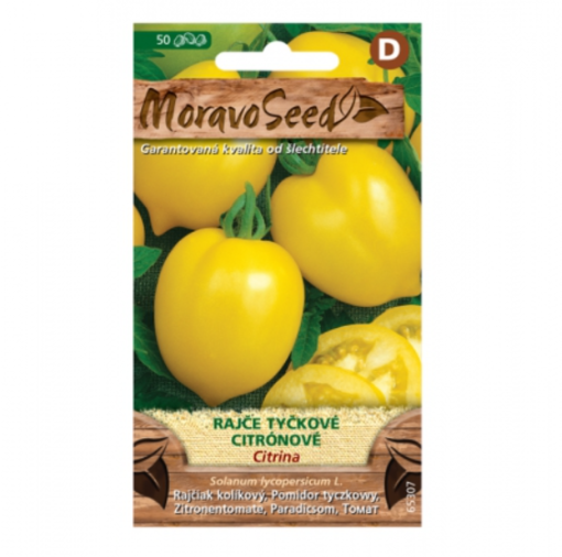 Rajče tyčkové citronové CITRINA, žluté 65307