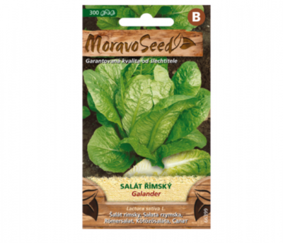 Salát římský GALANTER 66399