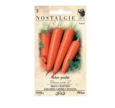 Mrkev pozdní F1 - hybrid