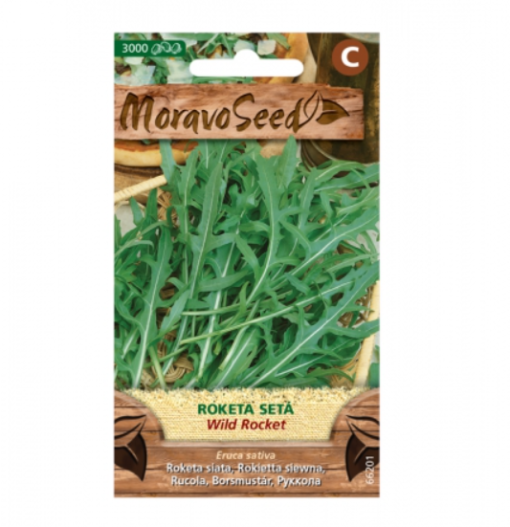Roketa setá WILD ROCKET 66201