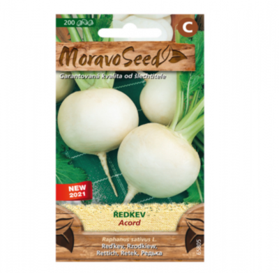 Ředkev ACORD, kulatá bílá 65805