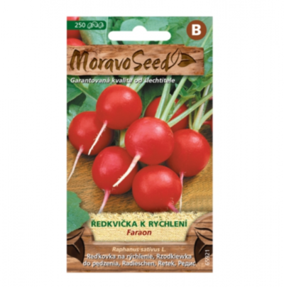 Ředkvička k rychlení FARAON, kulatá červená 65921