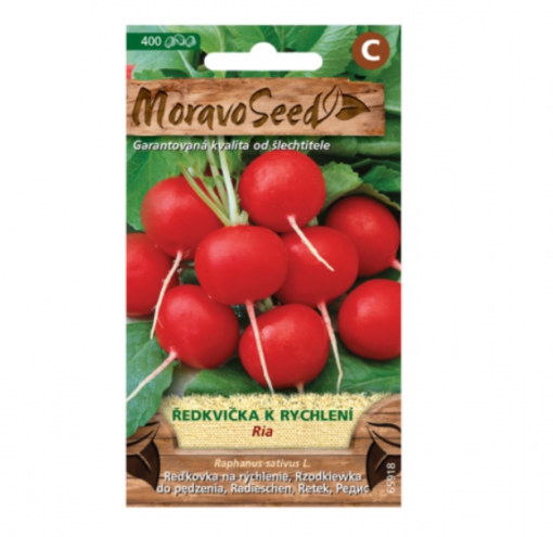 Ředkvička k rychlení RIA, kulatá červená 65918