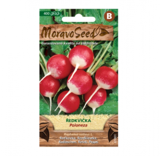 Ředkvička POLONEZA, kulatá červenobílá 65901