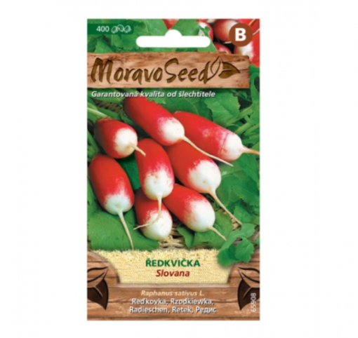 Ředkvička SLOVANA, válcovitá červenobílá 65908