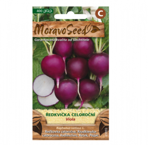Ředkvička VIOLA, kulatá fialová 65955