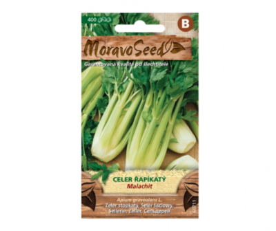 Celer řapíkatý MALACHIT, zelený 60711
