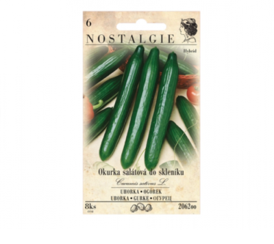 Okurka salátová MARTA F1 - hybrid, do skleníku
