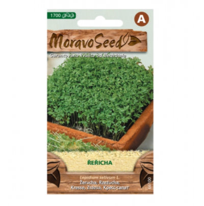 Řeřicha setá 66100