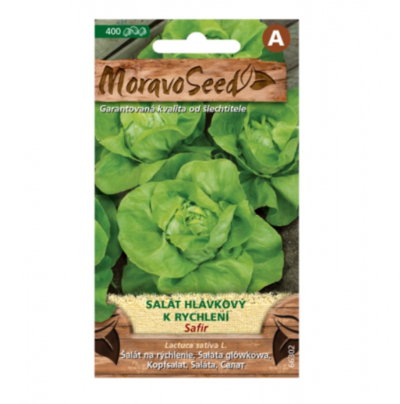 Salát hlávkový k rychlení SAFÍR 66302