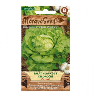 Salát hlávkový celoroční CASSINI 66314