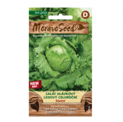Salát hlávkový ledový celoroční STAMIR 66356