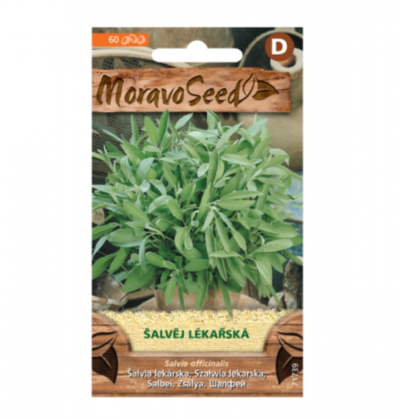 Šalvěj lékařská 71739