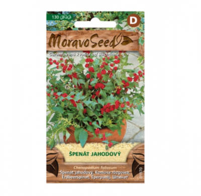 Špenát jahodový 01970