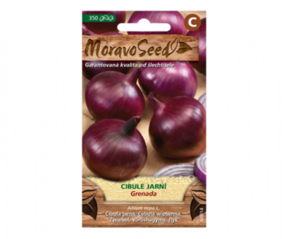 Cibule jarní GRENADA, červená 60814