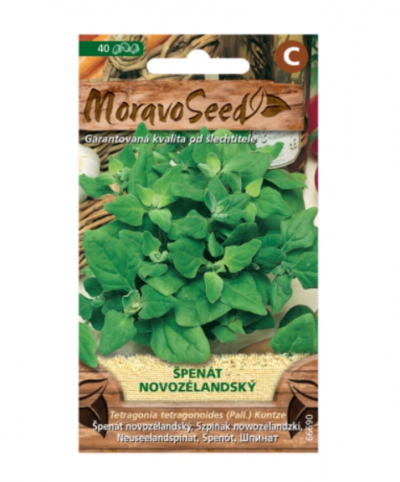 Špenát novozélandský 66690