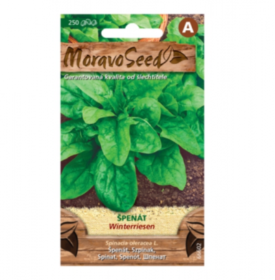 Špenát setý WINT ERRIESEN 66602