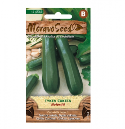 Tykev cuketa zelená NEFERTITI 67224