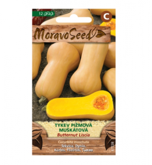 Tykev pižmová muškátová 67228