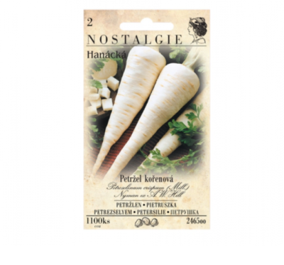 Petržel kořenová HANÁCKÁ