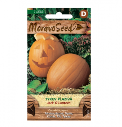 Tykev plazivá JACK´O LANTERN 67305