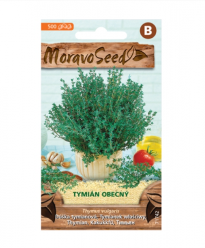 Tymián obecný 71742