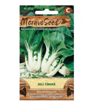 Zelí čínské 61401