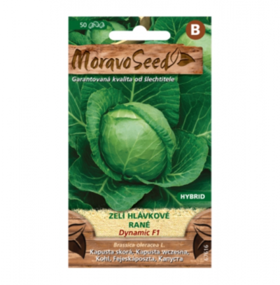 Zelí hlávkové rané DYNAMIC F1 - hybrid, ke skladování 67616