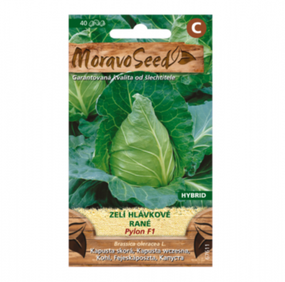 Zelí hlávkové rané PYLON F1 špičaté 67611