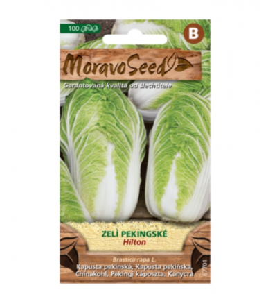 Zelí pekingské HILTON 67701