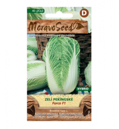 Zelí pekingské FORCO F1 - hybrid 67796