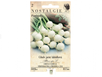 Cibule jarní lahůdková POMPEI, bílá