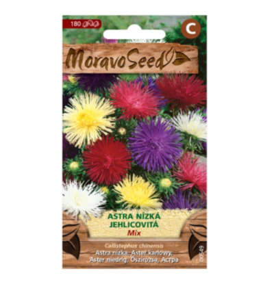 Astra čínská nízká jehlicovitá, směs 00549