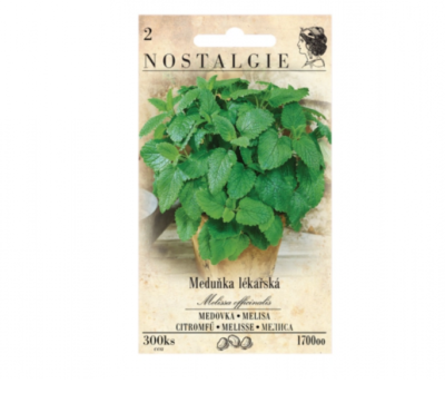 Meduňka lékařská