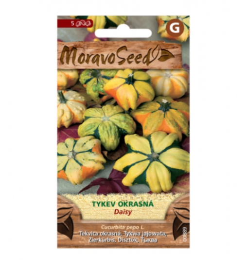 Tykev okrasná DAISY 00889