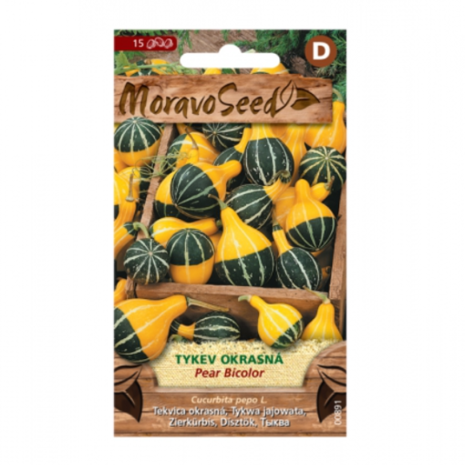 Tykev okrasná PEAR BICOLOR, žluto-zelená 00891