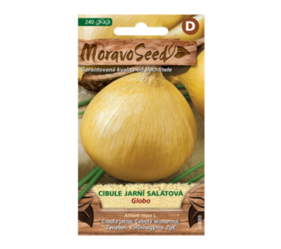 Cibule jarní GLOBO, salátová 60889