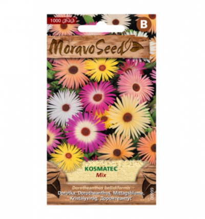 Kosmatec sedmikráskovitý, směs 00999